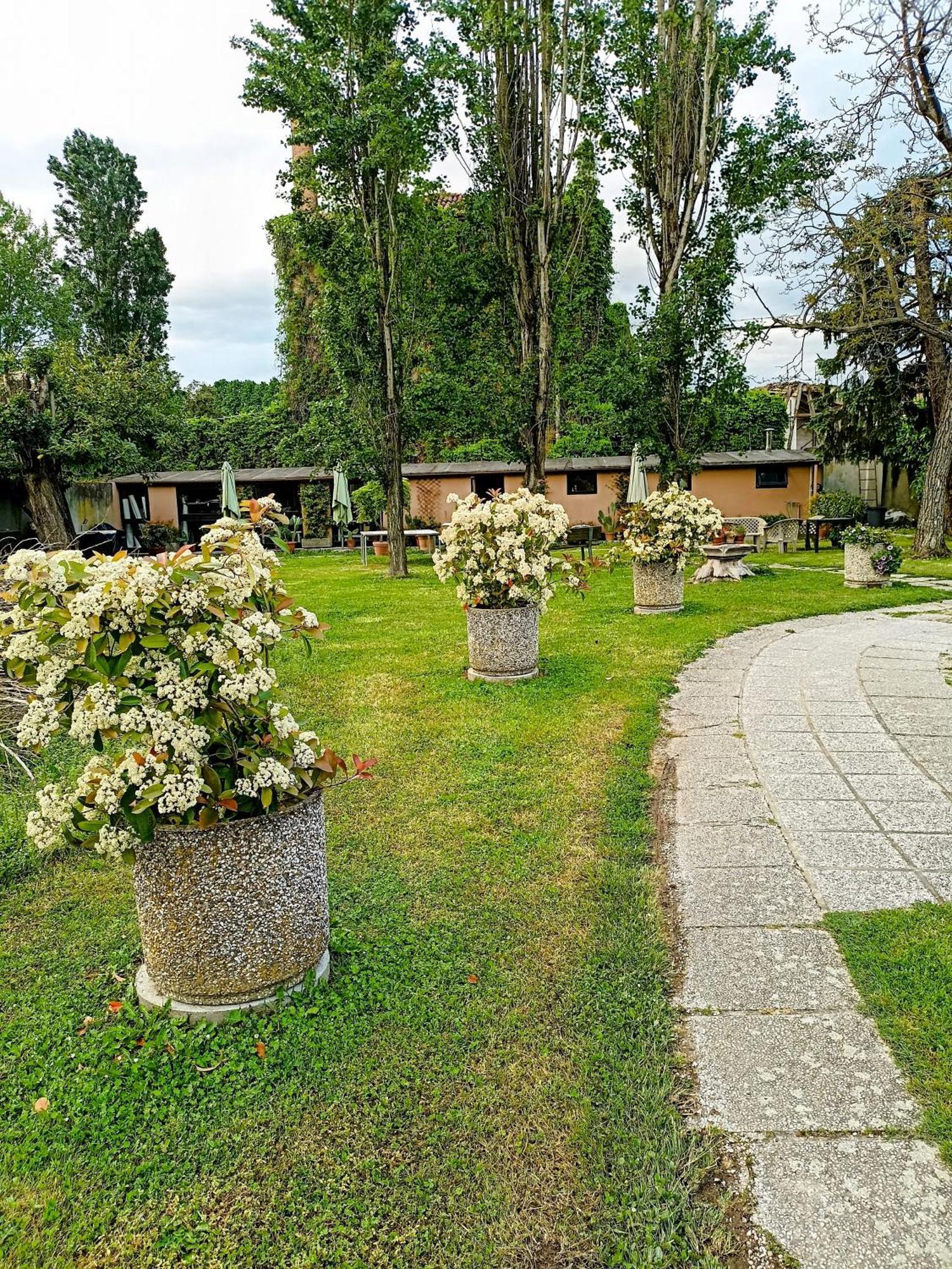 Villa Olanda Mira Extérieur photo
